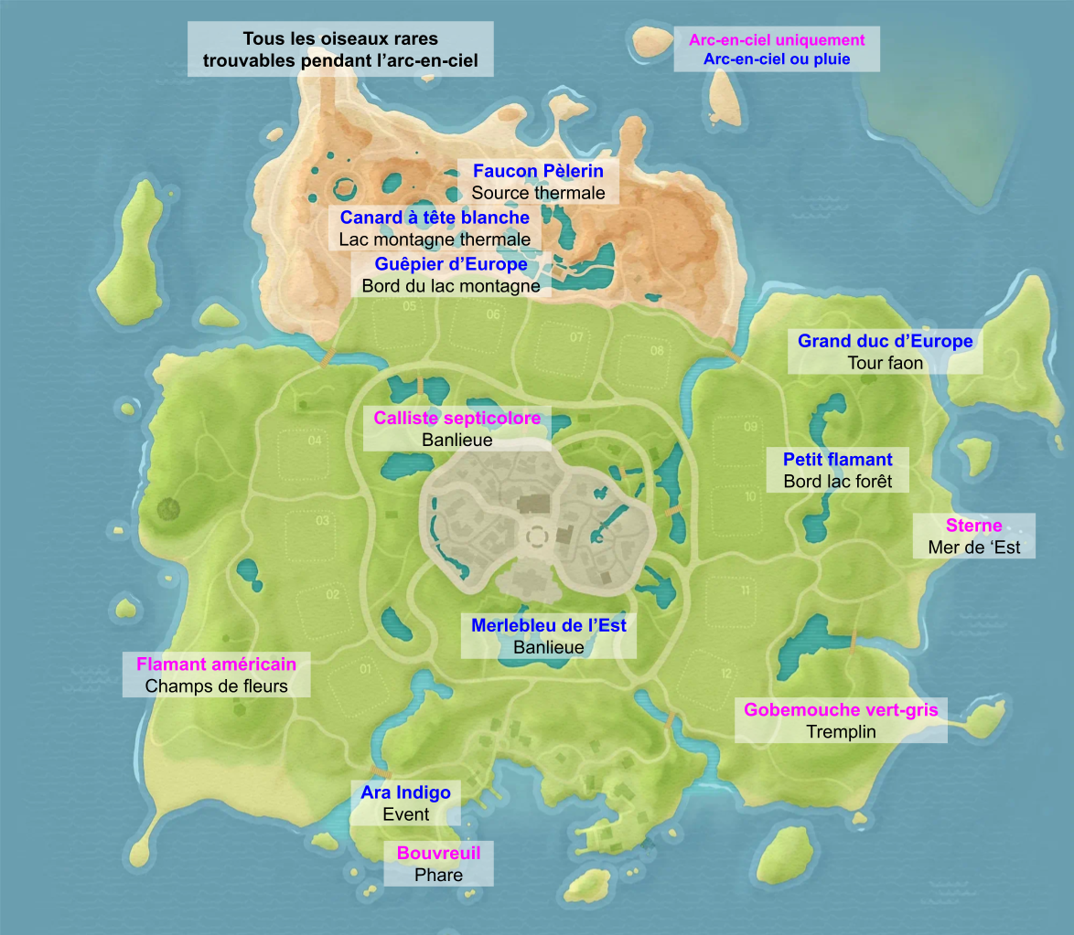 Carte des oiseaux rares de Heartopia